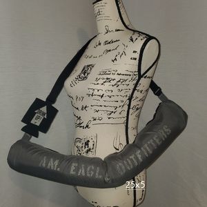 American Eagle Can Tote